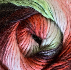 Bonita Yarns - Chromatic - Crossroads