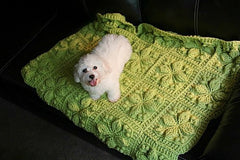 Embossed Garden Baby Blanket Crochet Pattern - Bonita Patterns