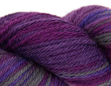 Cascade Yarn - 220 Superwash Sports Multis - 114 Grapes - Bonita Patterns