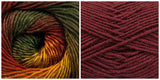 BURGUNDY + ROSE SHADES - Embossed Phoenix Vortex Shawl KIT - Bonita Patterns